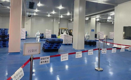 筑牢冷鏈食品安全防線 珠海西域碼頭開展進口冷鏈預防性全面消毒工作